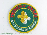Click to enlarge Twinning Award